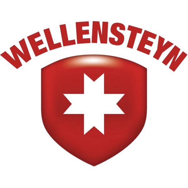 Wellensteyn